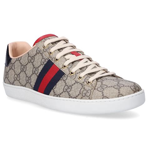 gucci sneakers how much|Gucci sneakers for ladies price.